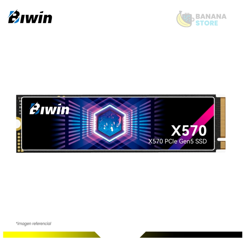 UNIDAD ESTADO SOLIDO 1TB BIWIN M.2 PCI 5.0 X570 GEN5 14500 MB/S